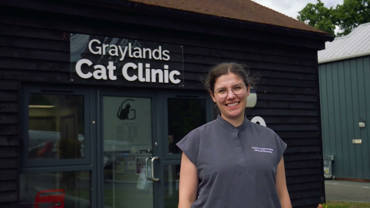 National Cat Awards 2025 | Vet of the Year winner