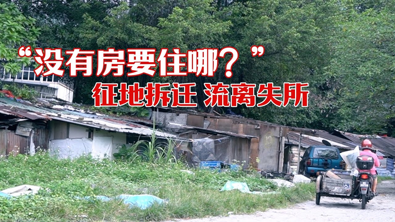 “没有房要住哪？”  征地拆迁 流离失所