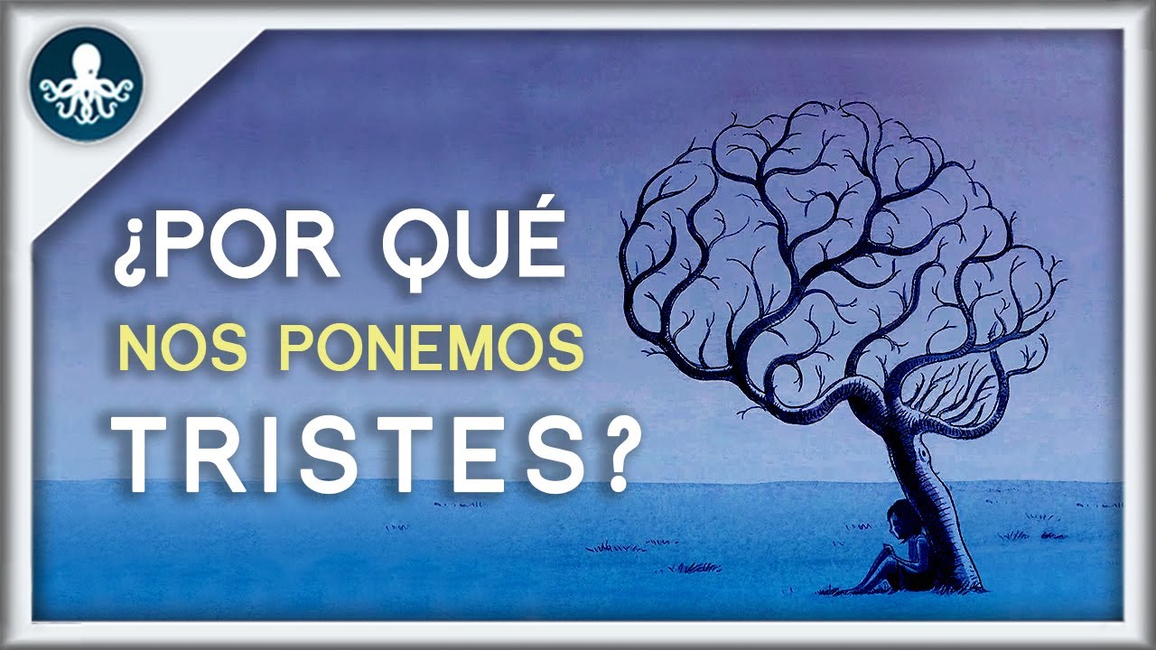 ¿Para qué SIRVE la TRISTEZA?