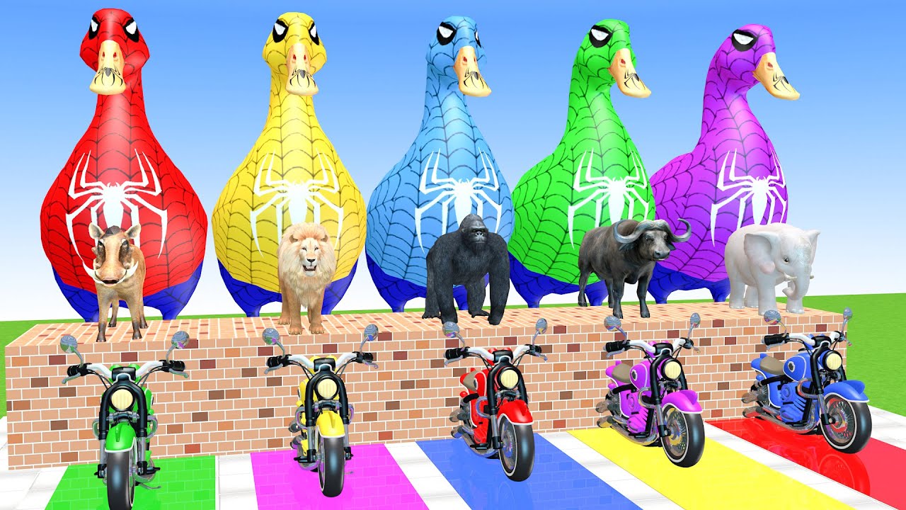 Long Slide Game With Elephant Warthog Lion Gorilla Buffalo 3d Animal Cage Game Funny 3d Animals
