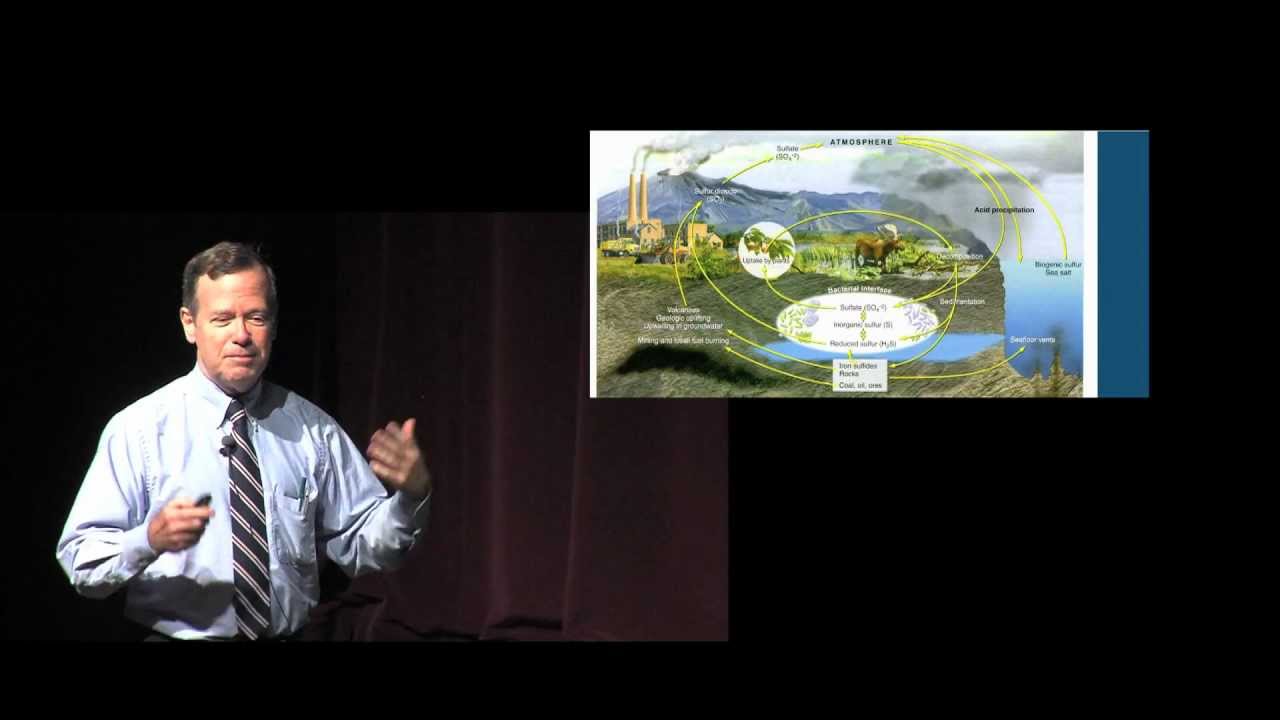 Understanding the Complex Systems Around Us: Martin Schmidt at TEDxMcDonogh