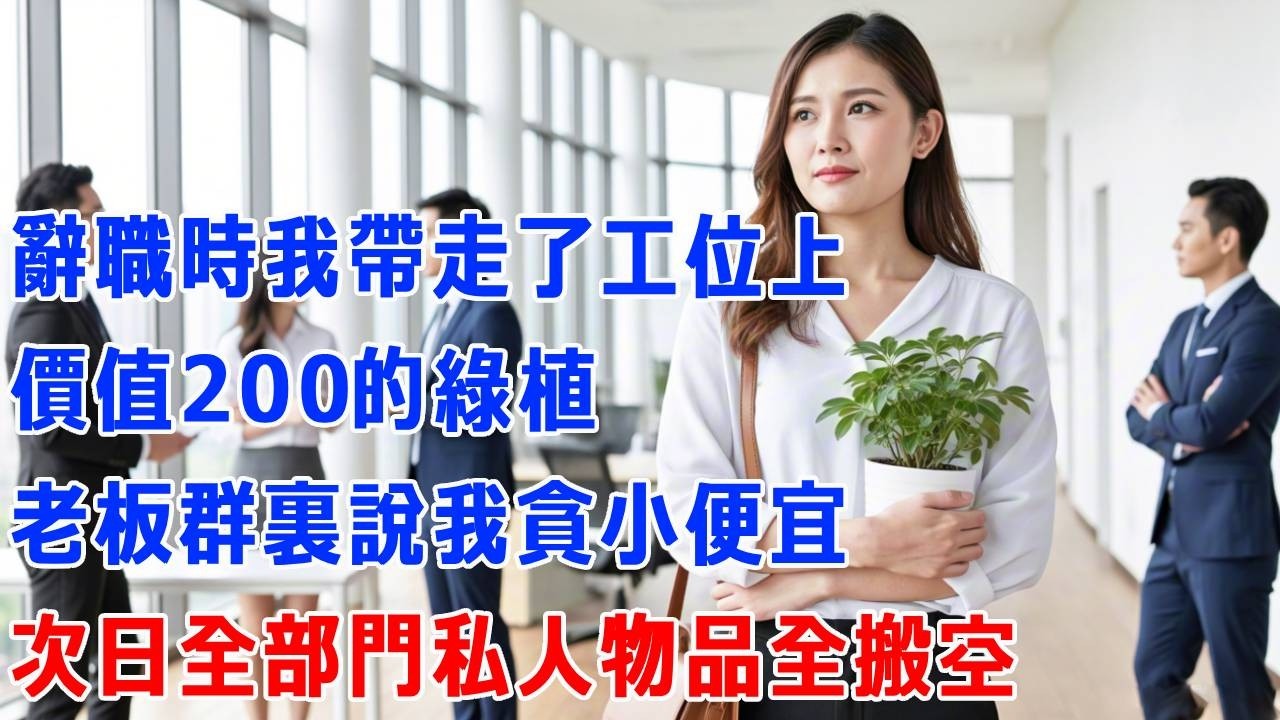 辭職時我帶走了工位上價值200的綠植，老板群裏說我貪小便宜，次日全部門私人物品全搬空。#打脸 #正能量 #故事分享 #生活經驗 #职场 #正能量剧情