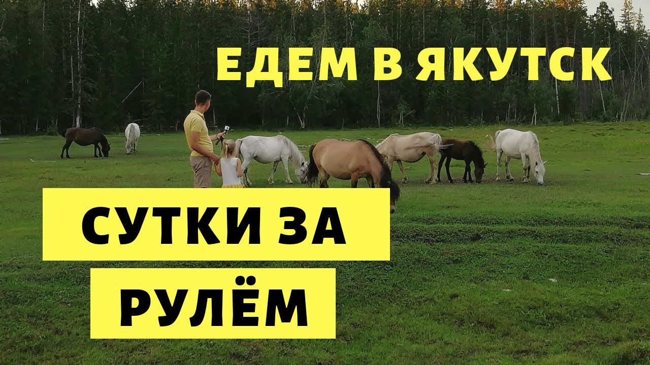 Сумасшедшее Путешествие в Якутск на Машине 🚀 Ч 2. Алдан-Якутск и Паром через р. Лена Нижний Бестях