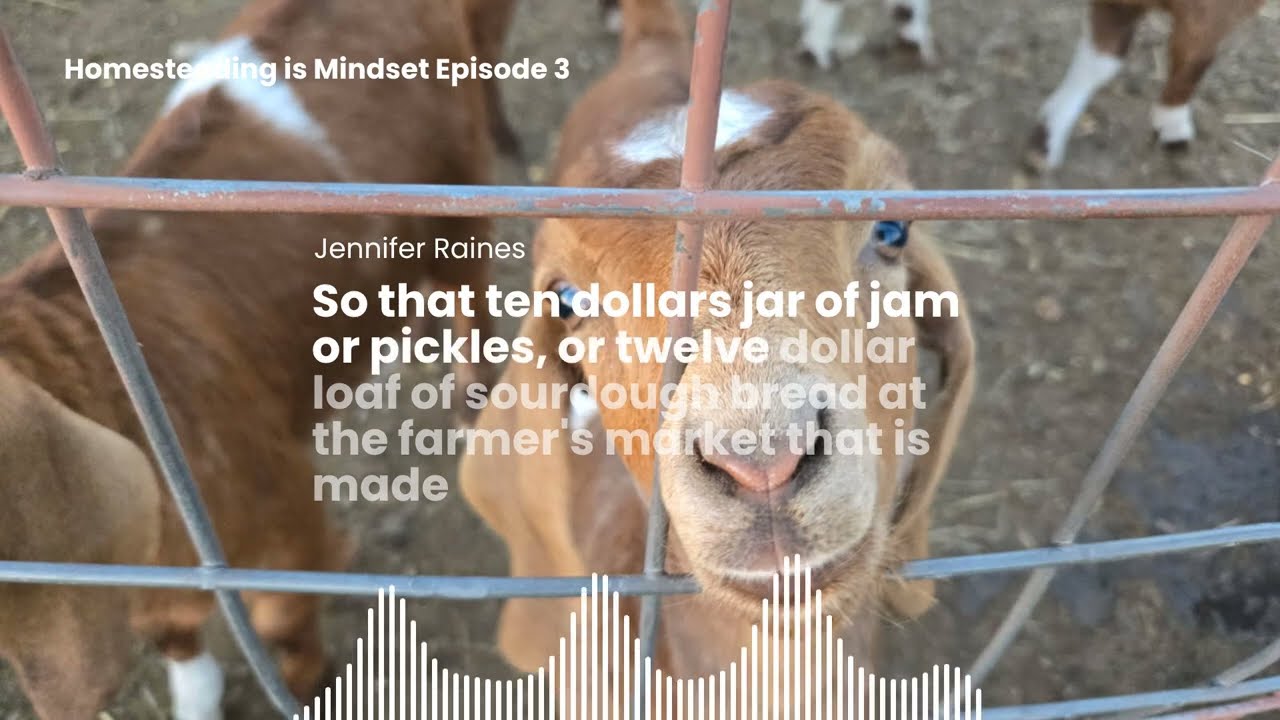 Homesteading is  Mindset Episode 3