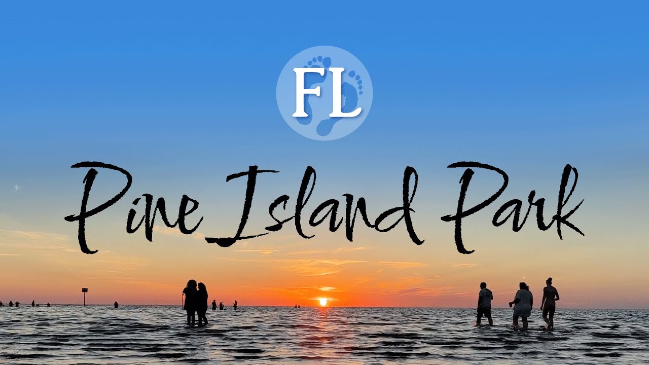 Alfred McKethan Pine Island Park. Live crown conchs & perfect sunset!