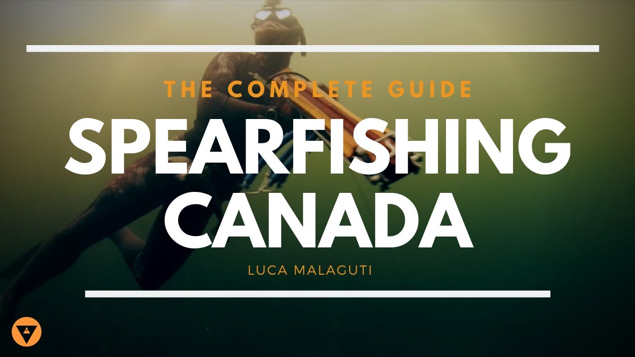 The Complete Guide - Spearfishing Canada - Alchemy Spearfishing
