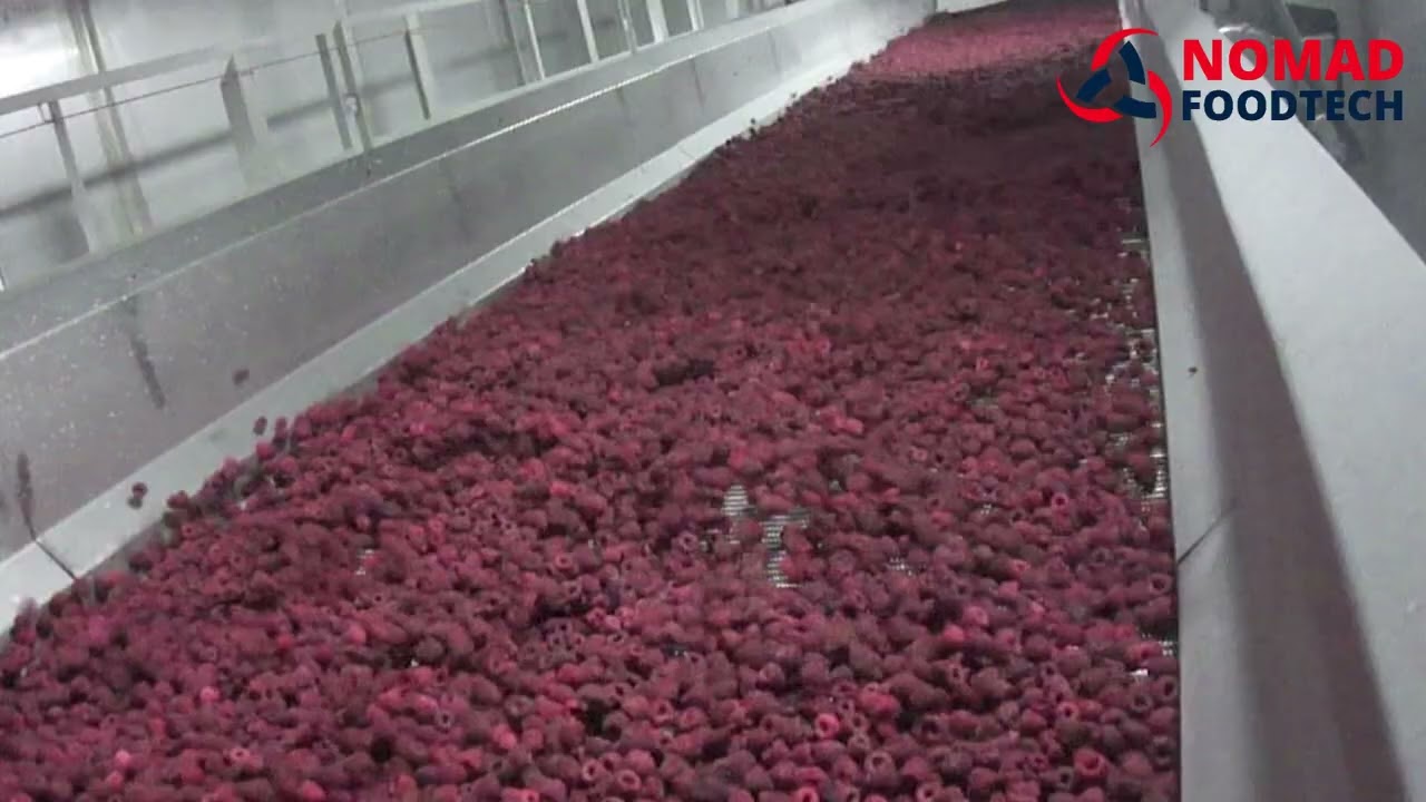 DSI Dantech Flowfreezer - Aerofreeze, Surgélation de framboises IQF_ Nomad Foodtech