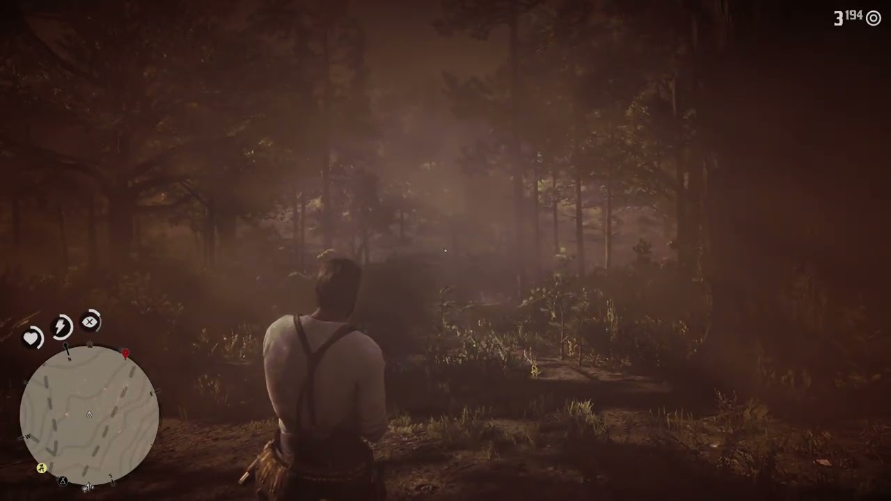 Red Dead Redemption 2_part 69