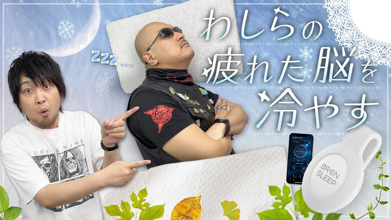 【ブレインスリープ ピロー】わしらの火照った脳を冷やす…究極の枕に