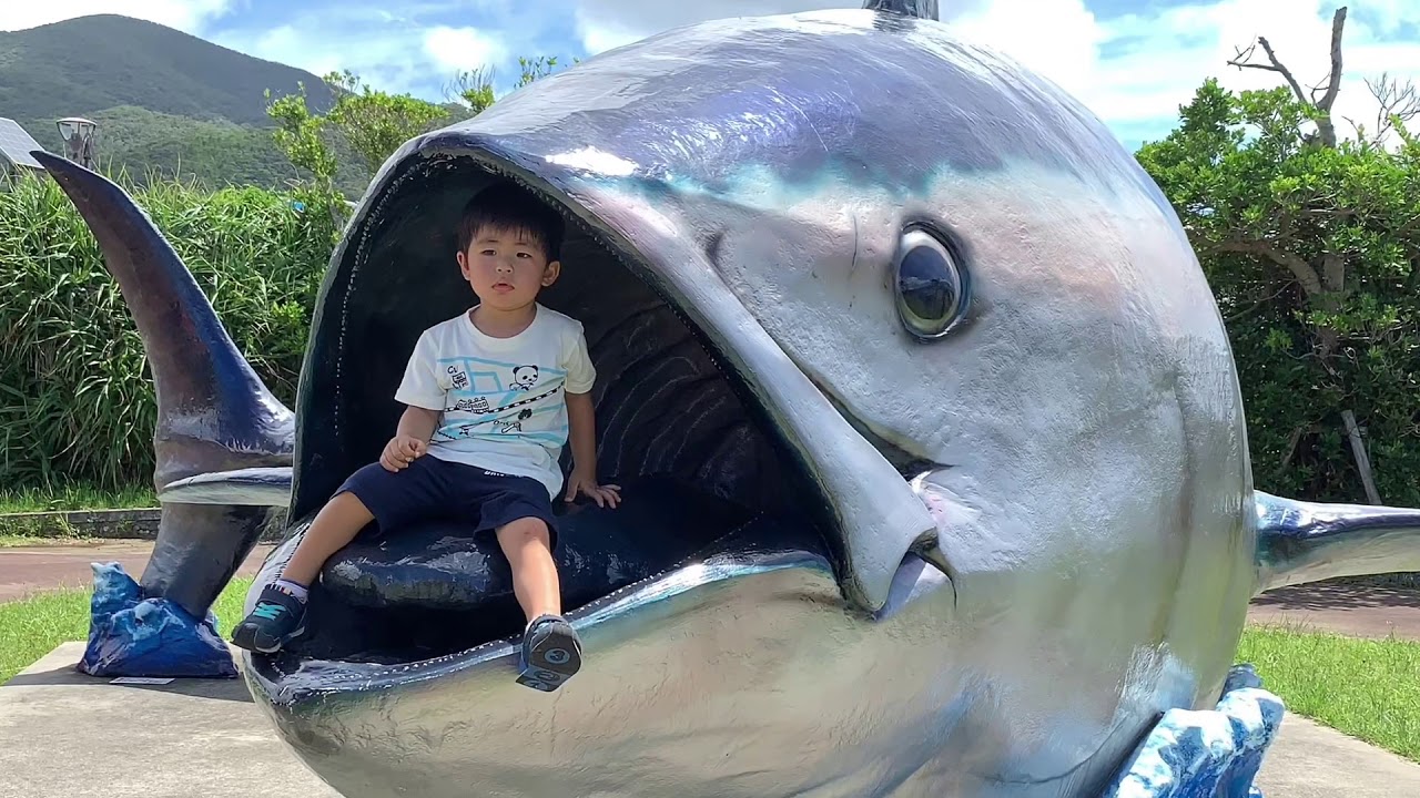 Lorrin Lee’s Amami Oshima Japan