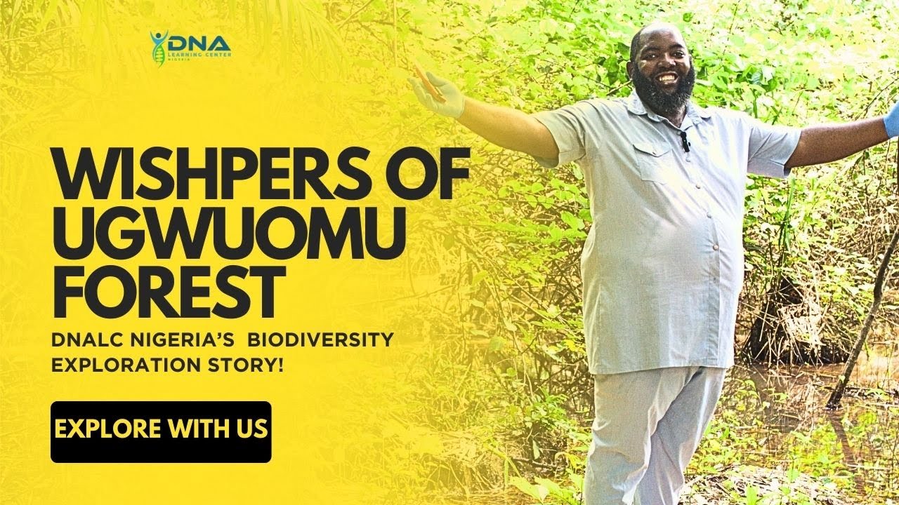 Wishpers Of Ugwuomu Forest : DNALC Nigeria’s Biodiversity Exploration Story!