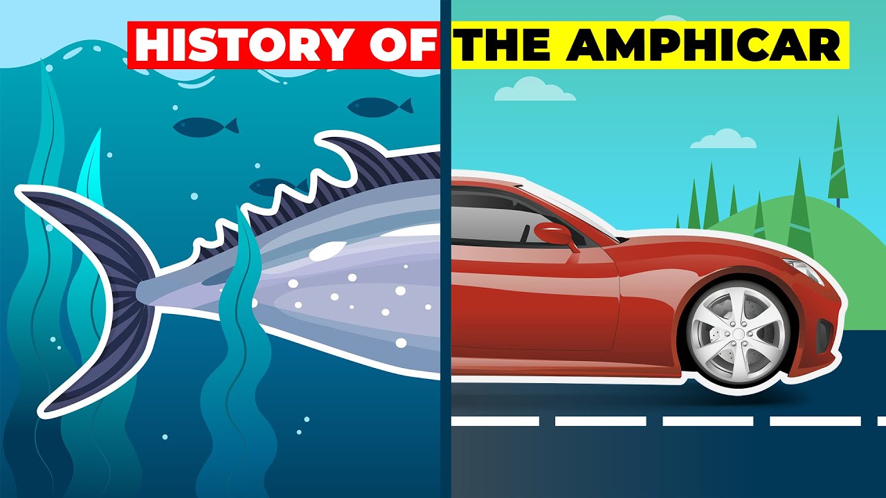 History of the Amphicar - Infographics about the Amphibious Vehicle