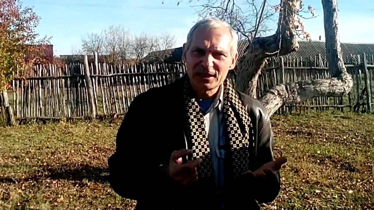 Как быстро увеличить пасеку