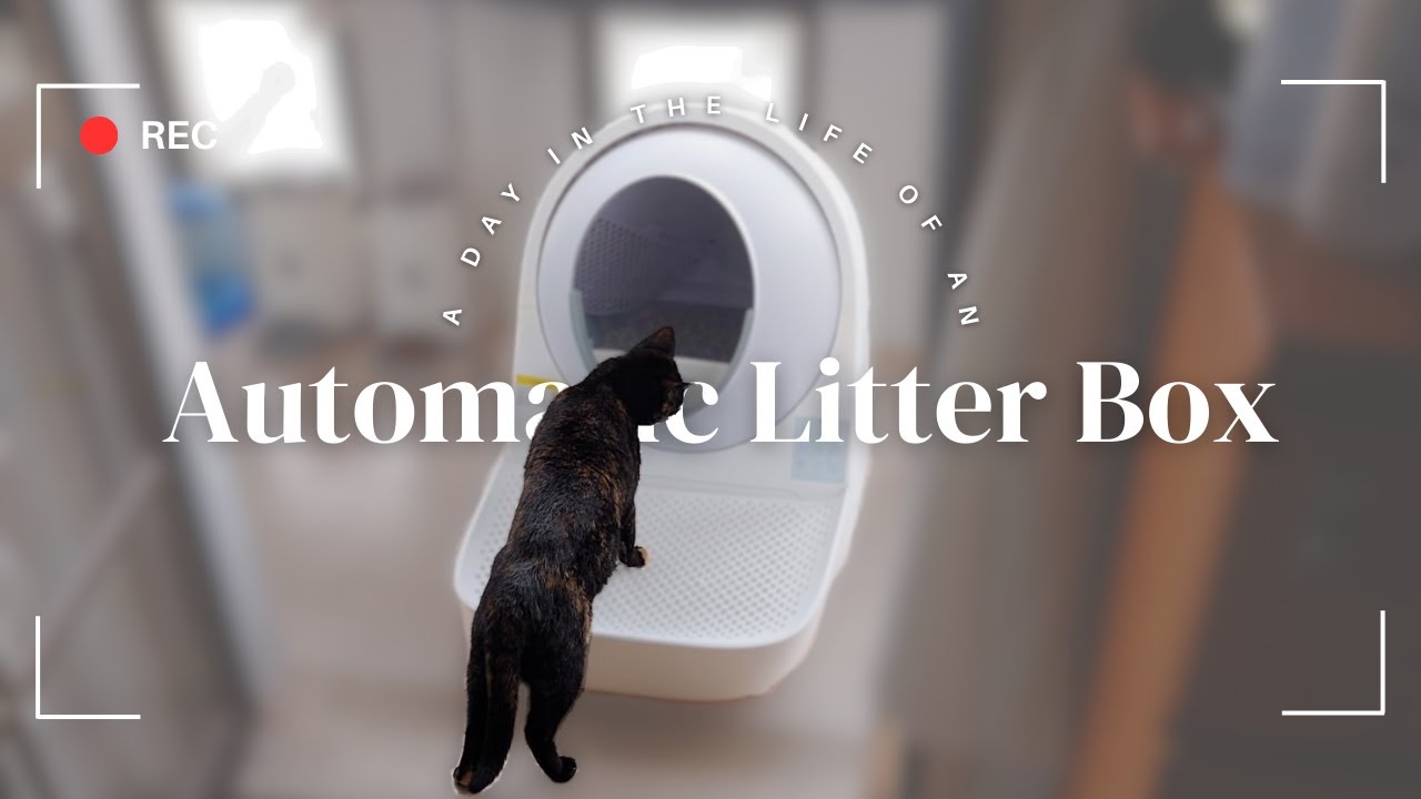Catlink Scooper Luxury Pro -1 week later