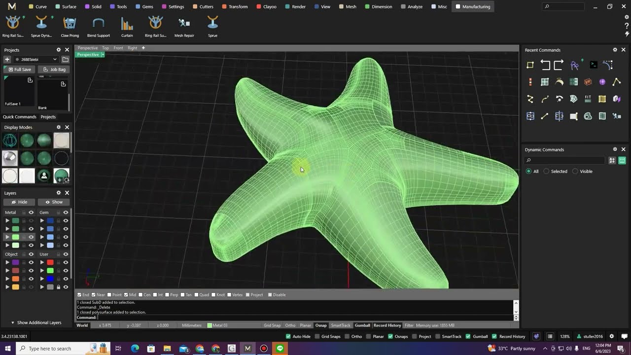 Starfish Modeling in MatrixGold 3.4