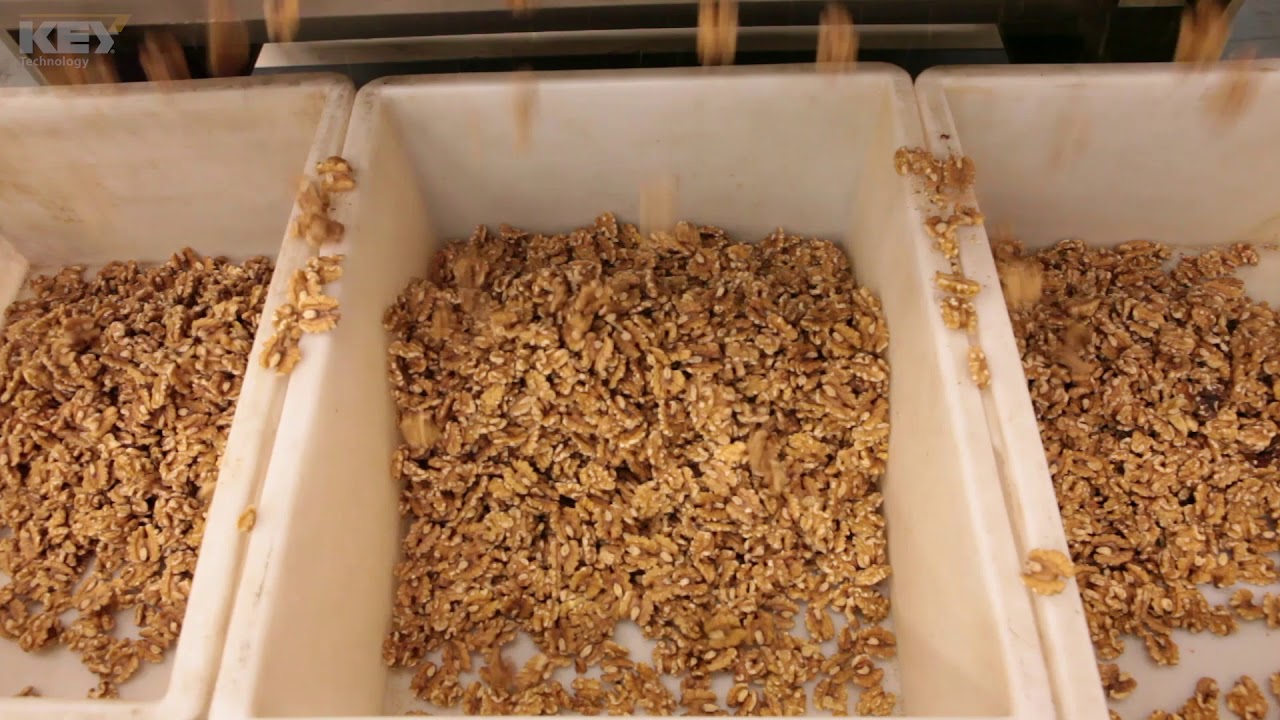 Walnuts on Veryx C140