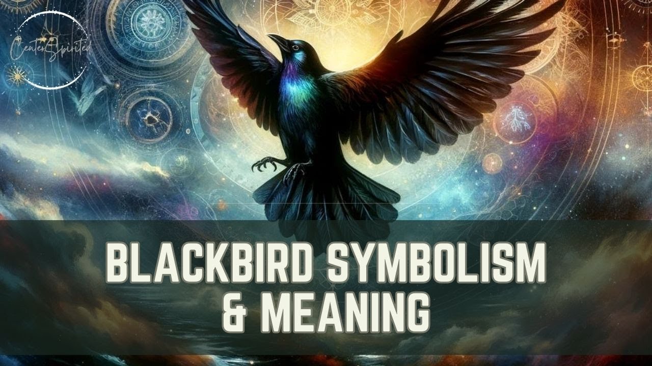 Blackbird Symbolism & Meaning