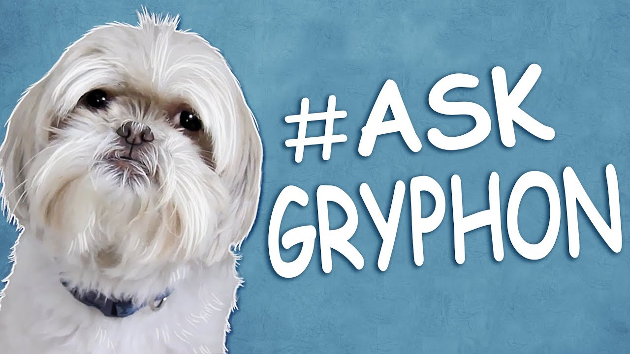 Ask Gryphon | What's Your Favorite Thing to Pee On?