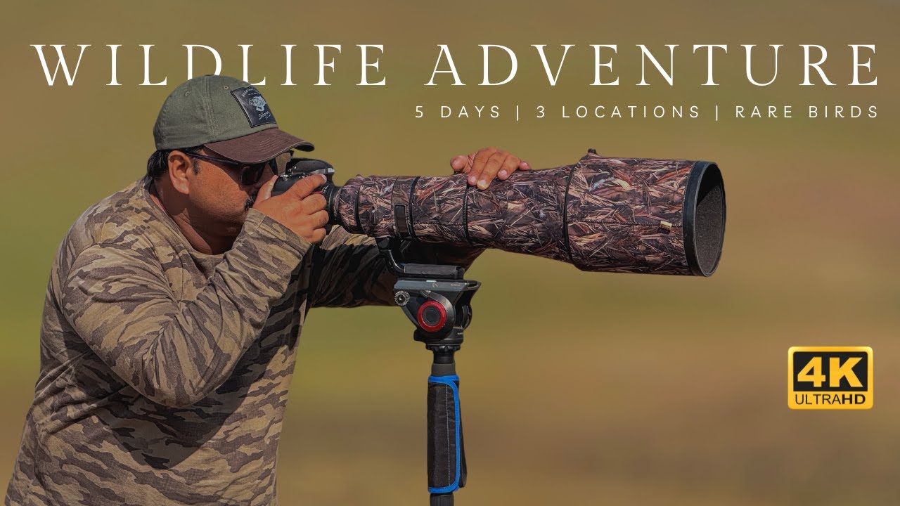 Pune Wildlife Adventure, 5 Days of Rare Birds Photography