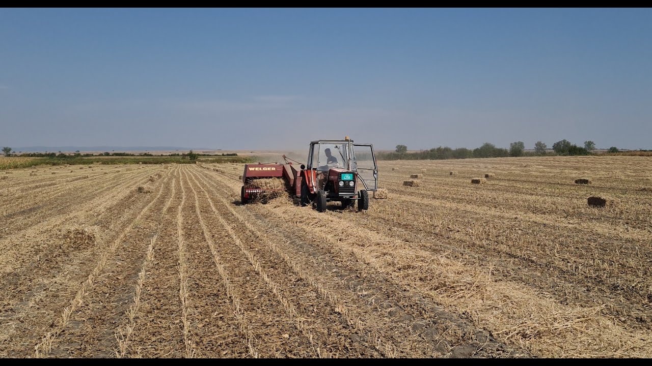 EKSTREMNO BRZO BALIRANJE SOJE IMT 539 i Welger EXTREMELY FAST BALING OF SOYBEAN!