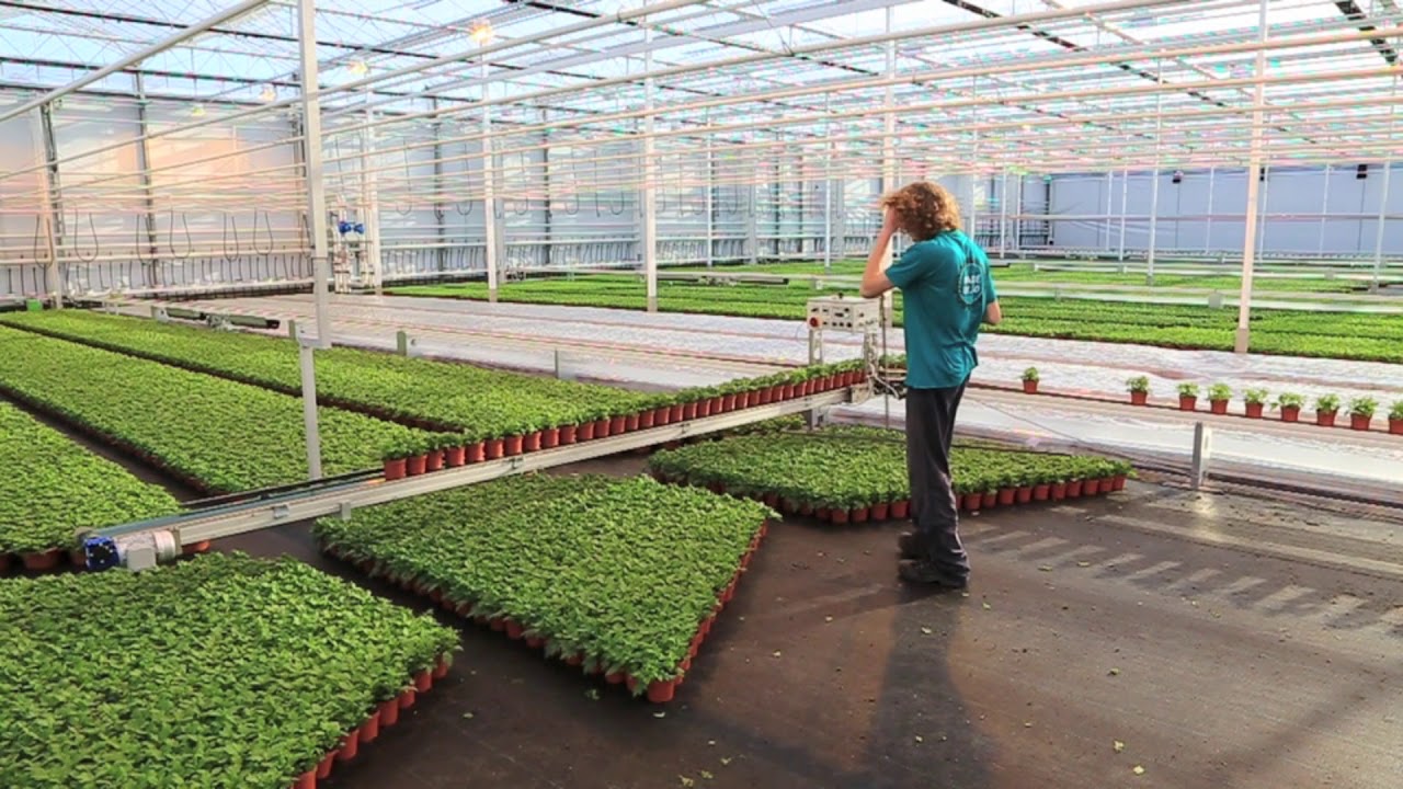 SmartFlo Flexit: Flexible growing for greenhouses