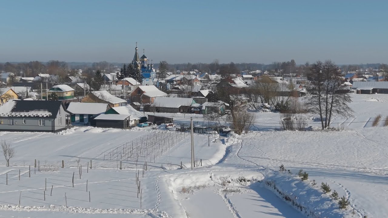 Дубечне 2026 рік
