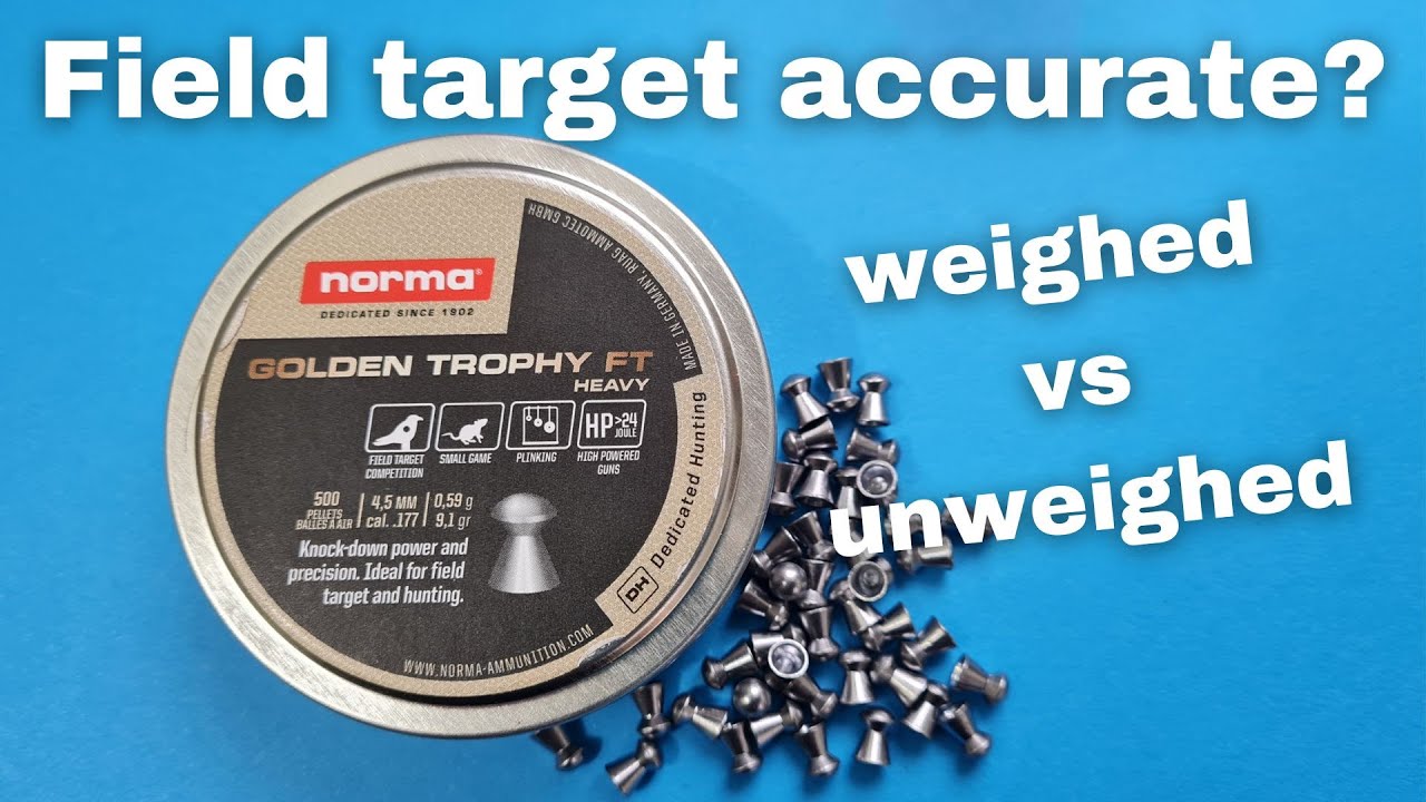 Testing the NORMA golden trophy Ft heavy air rifle pellets .177