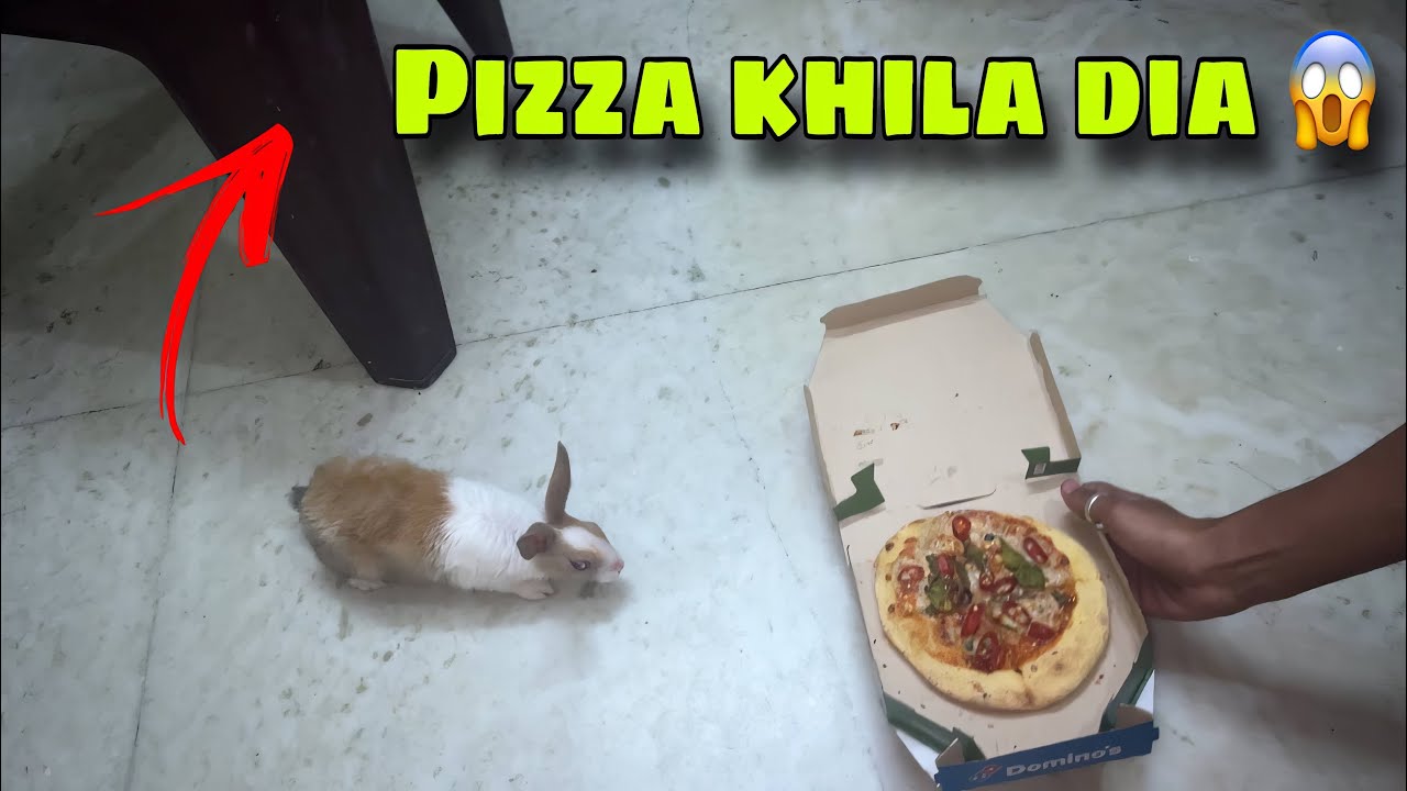 Inki Shaitaani Ki Hdd Nhi Hai🥲❤️