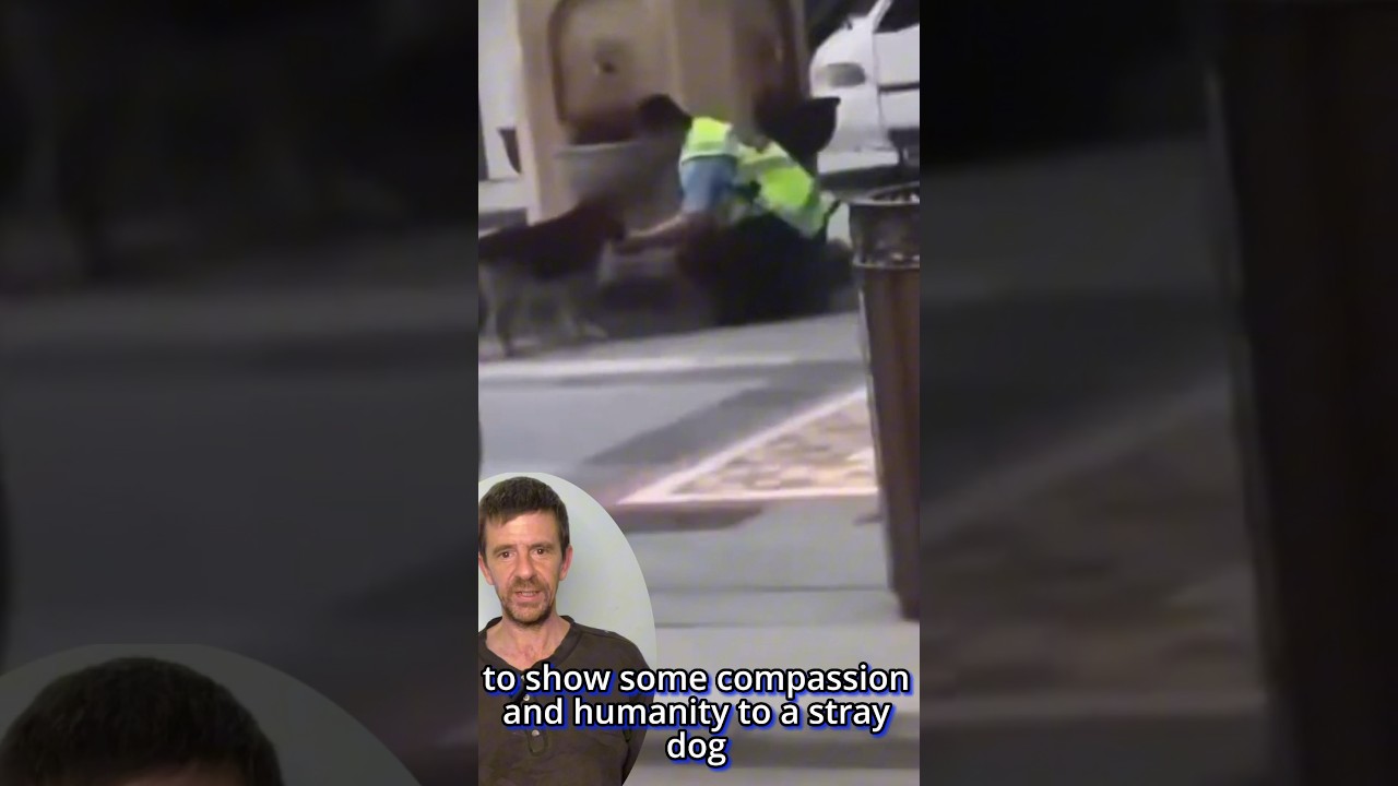 Compassionate Cop, Police Officers Act of Kindness Towards a Stray Dog!#kindness #compassion #police