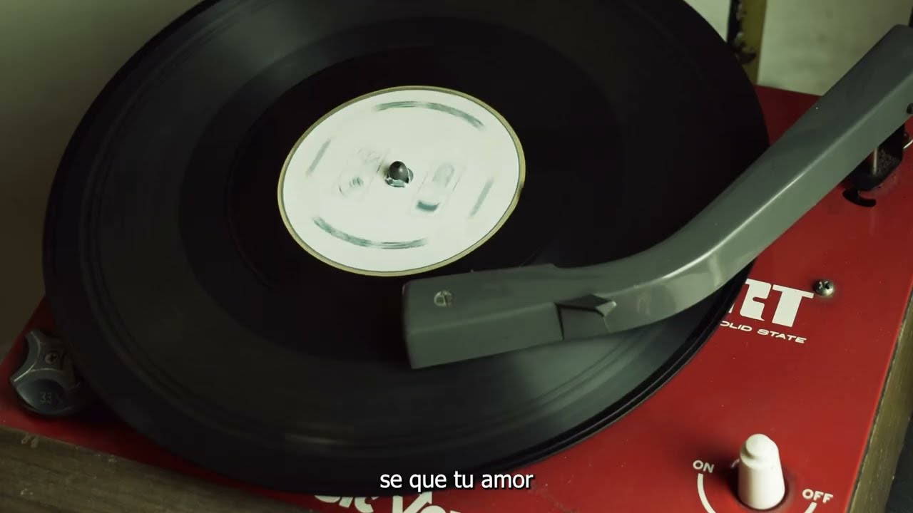 Bruno Pinto| FLORESEXPRESS (Visualizer)