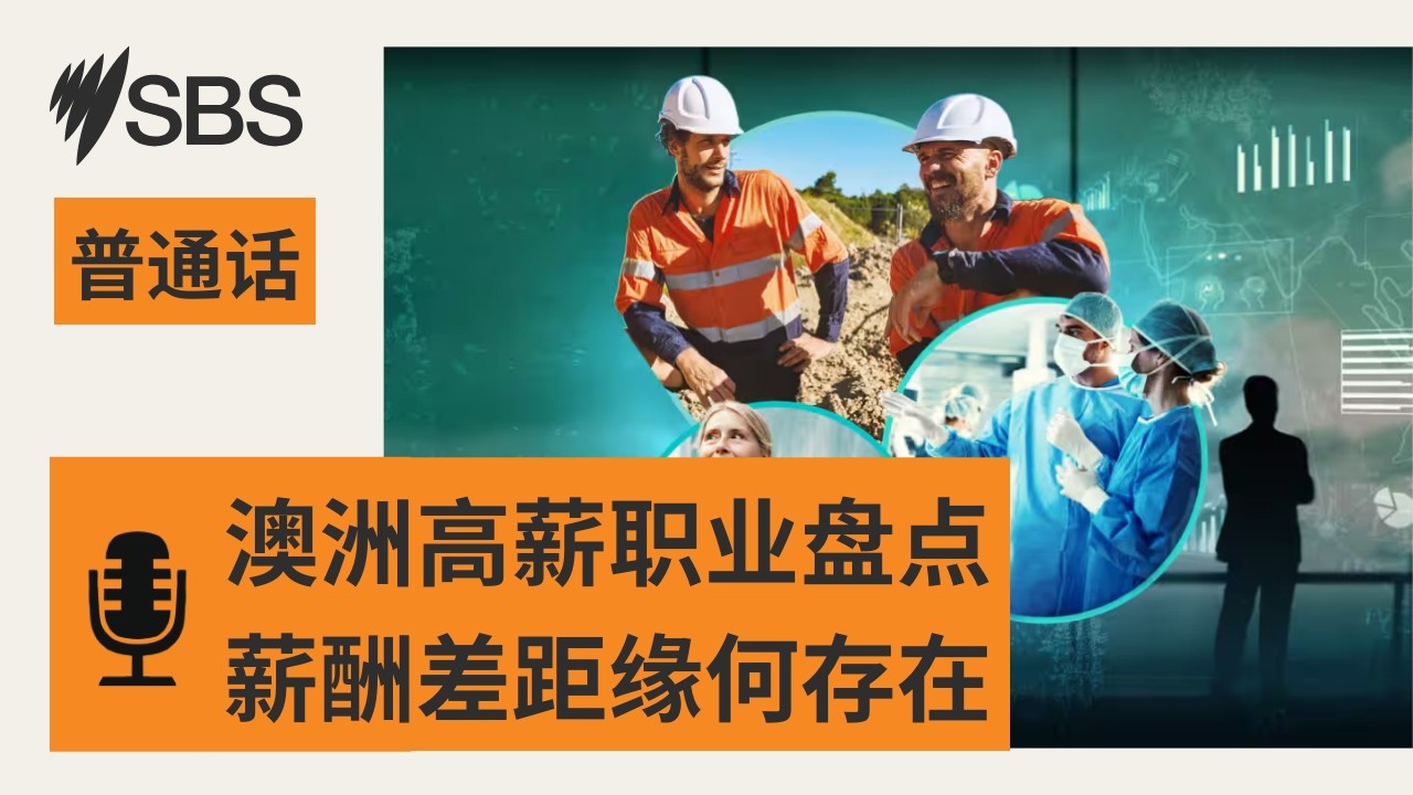 【SBS新闻快报】澳洲高薪职业盘点：谁赚得最多 薪酬差距从何而来？ | SBS Mandarin - SBS 普通话电台