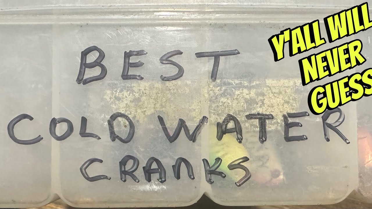 The 3 Best Cold Water Crankbaits Ever Made&hellip;(Most Anglers Will Guess Wrong)