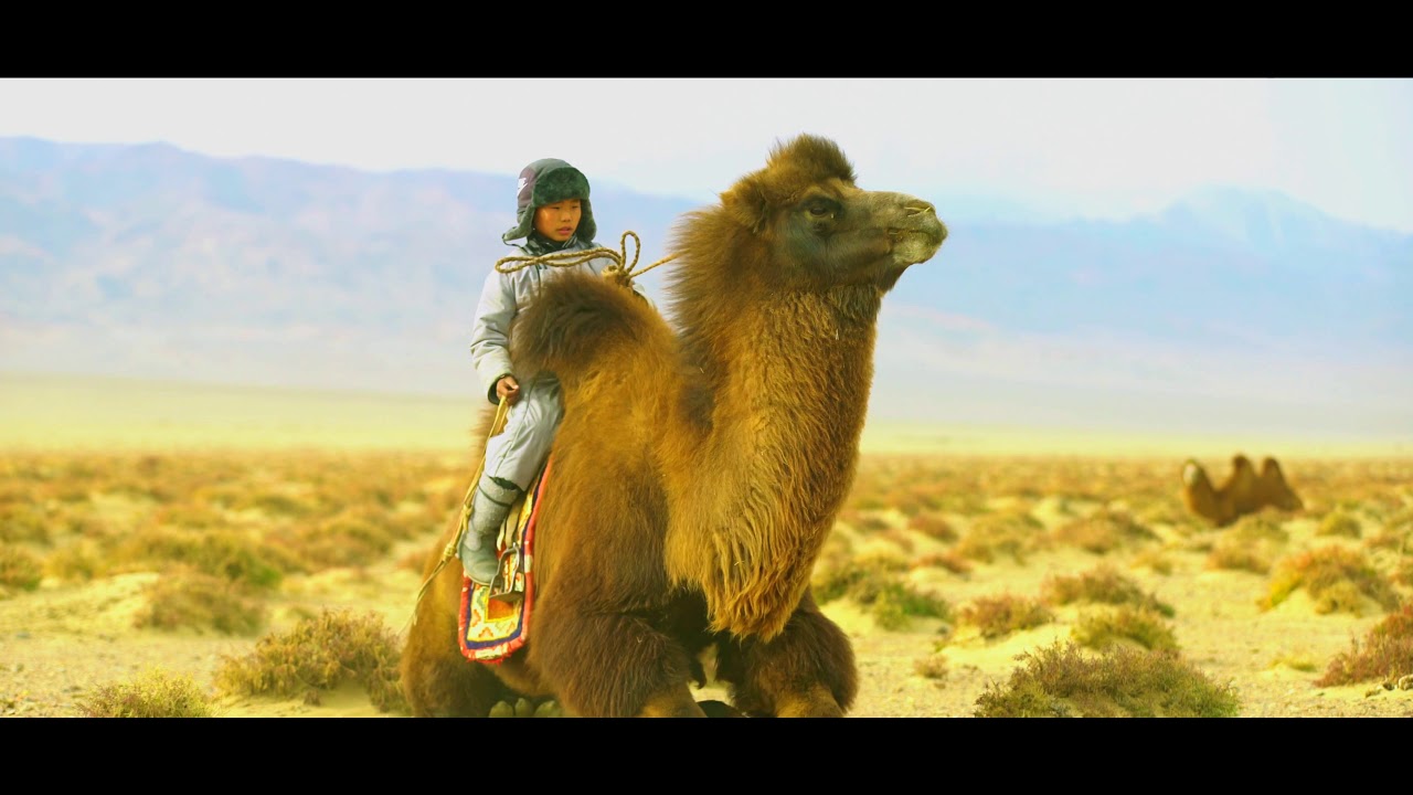 Let's Travel in Mongolia. Bayankhongor
