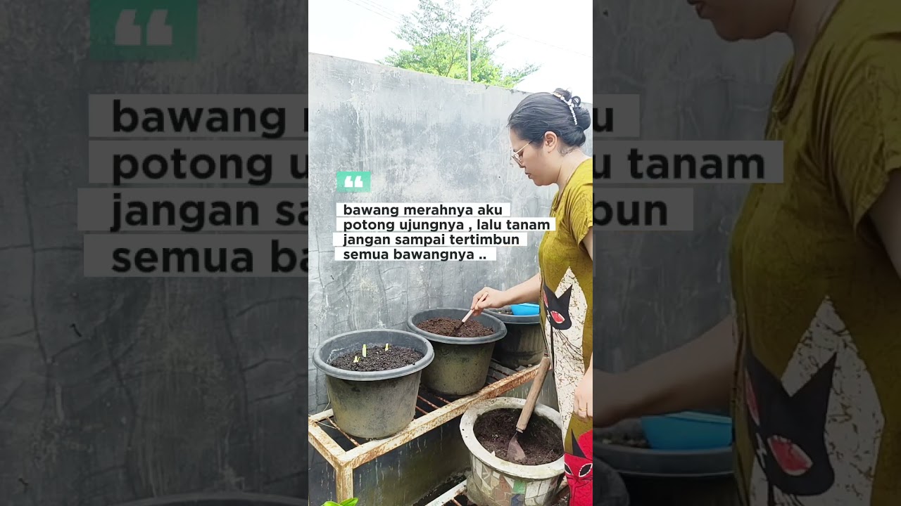HARI LIBUR MANFAATKAN UNTUK BERES BERES 