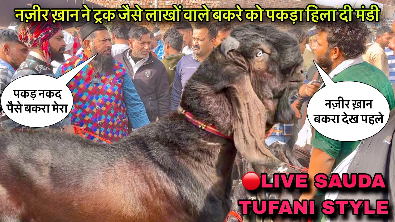 नज़ीर ख़ान नें ट्रक जैसा लाखों का बकरा पकड़ा पूरी मंडी में मच गया हंगामा BakraMandi2025 @farmingbaba