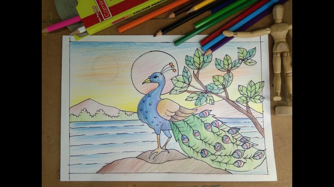 how to draw bird and  peacock drawing||पक्षी और मोर का चित्र कैसे बनाएं||😍🎨#drawingtutorial #youtube