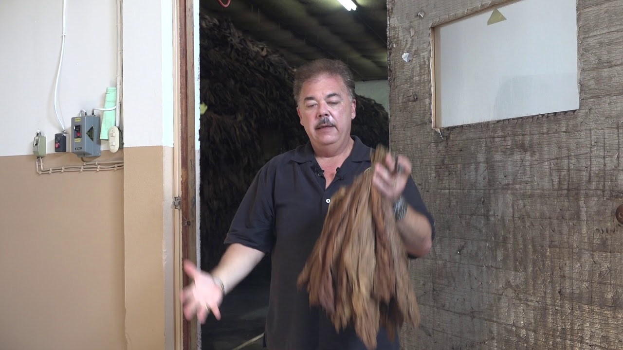 Nick Perdomo Explains How Wrapper Tobacco Is Carefully Prepared For Fermentation