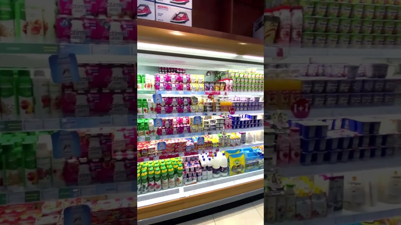 What can you find at a Mongolian grocery store?