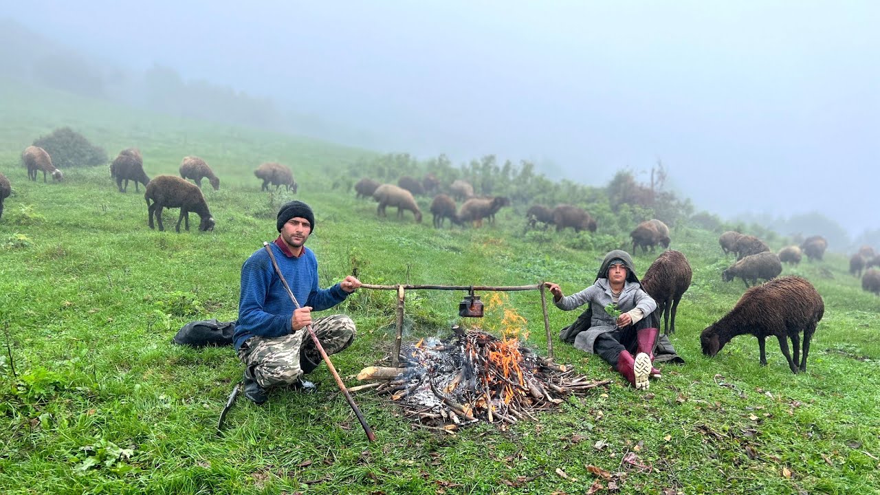 Rainy Day in the Meadow, Grazing Sheep and Preparing Butter By Nomads