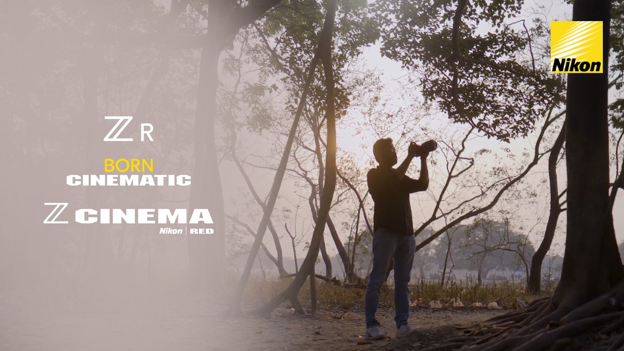 When Everyday Moments Become Cinematic | Nikon ZR