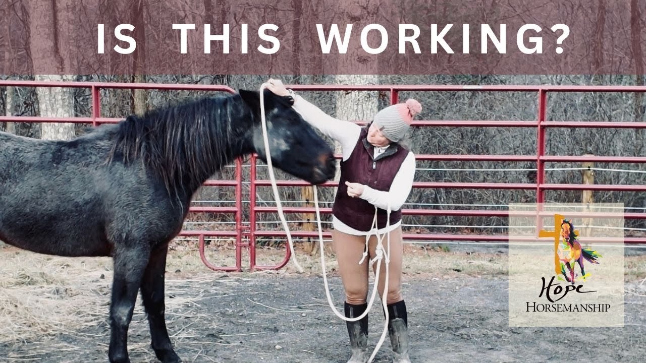 Protecting Trust or Avoiding Progress 🤎 A BLM Mustang’s Timeline