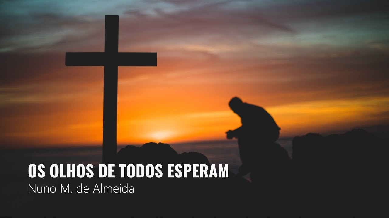 Os olhos de todos esperam - Nuno M. de Almeida