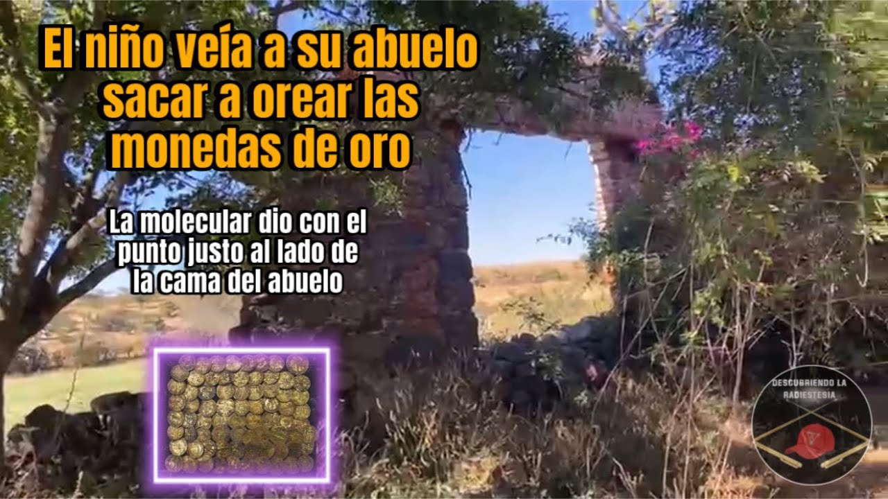Fuego Fatuo en camino Real, El niño veía a su abuelo orear las monedas de oro. Eso era un tesoro.