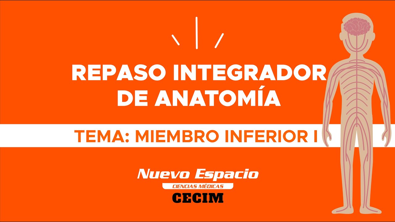 MIEMBRO INFERIOR I - Repaso integrador de Anatomía