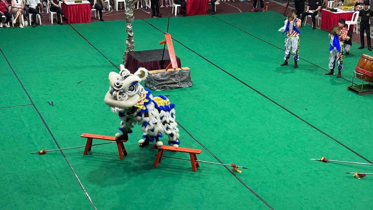 [4K] 1st Traditional South Lion Promotion Competition - Yang Yi Dragon & Lion Dance (22.02.2025)