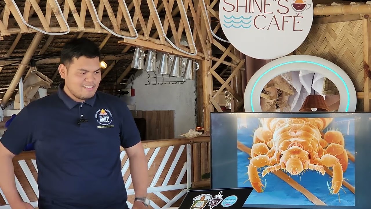 The Foolishness of Idolatry | Lesson 3 - Study on the Book of Romans