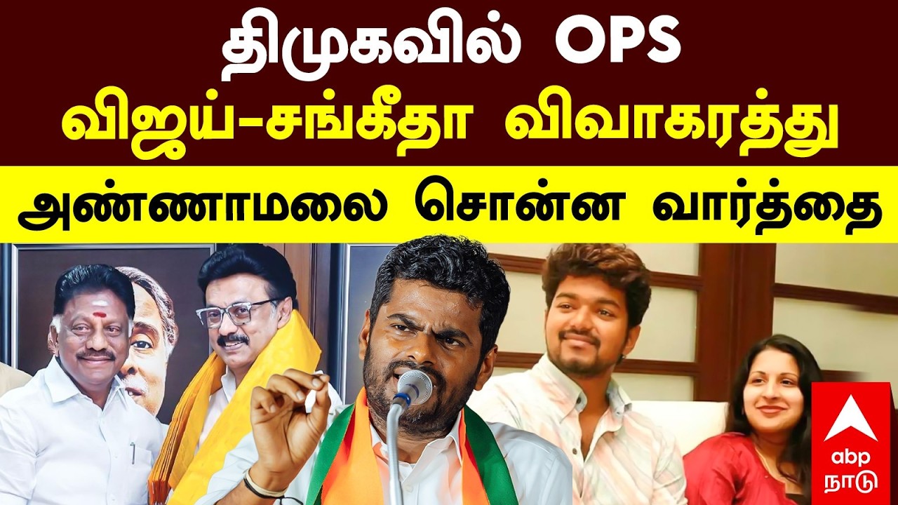 Annamalai on Vijay | திமுகவில் OPS விஜய்-சங்கீதா விவாகரத்து அண்ணாமலை சொன்ன வார்த்தை | OPS
