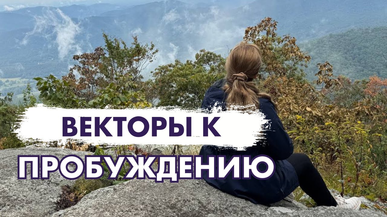 Векторы к пробуждению