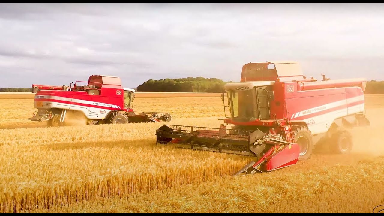 [Drone 4K] Moisson des orges 2020 XXL MASSEY FERGUSON , 2 Moissonneuses MF , 4 Tracteurs MF