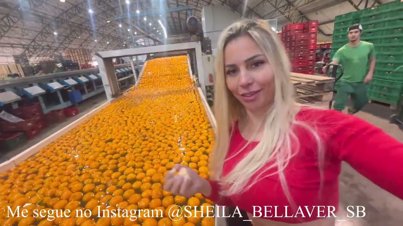 DESCARGA FOI NO INTERIOR FRUTA E FRUTA 🍇 🍎🍏